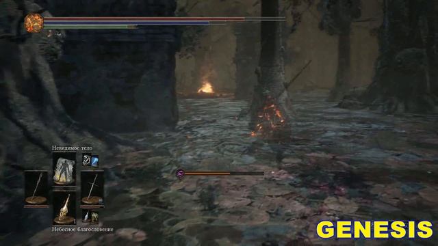 DarkSouls III  Цитадель Фаррона   Босс  Хранители Бездны №5