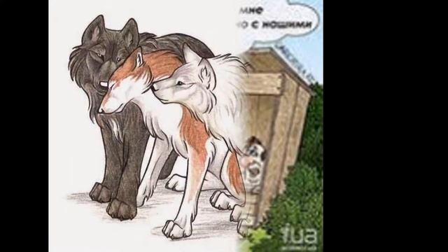 Мое слайд-шоу #2 смотреть онлайн