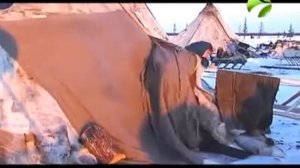 Полярные истории. Как живут люди в тундре