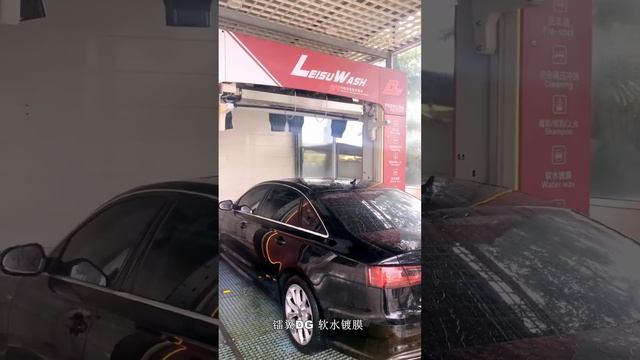Робот мойка Leisuwash DG classic смотреть онлайн