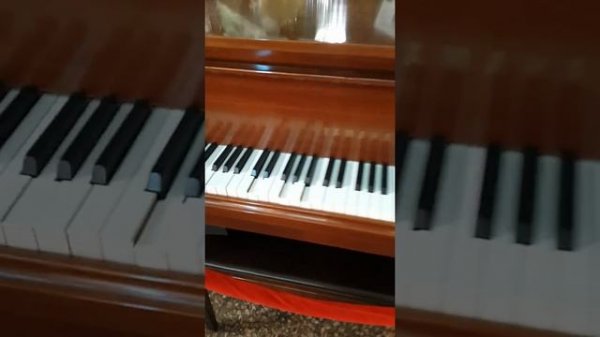 Играющий рояль в магазине купцов Елисеевых