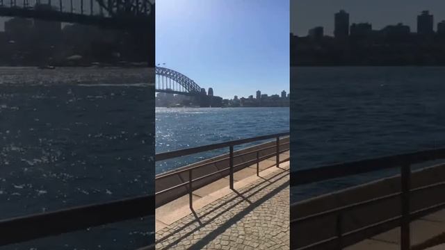 Sydney australia, opera house and harbour views смотреть онлайн