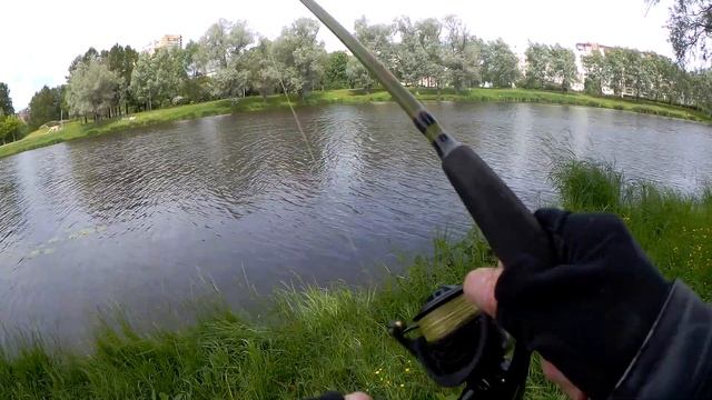 Bearking Ito Shiner не щадит никого😆 смотреть онлайн
