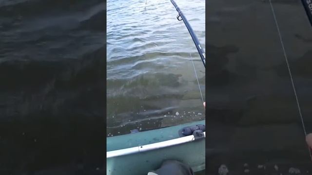 Этот Случай я Надолго Запомню смотреть онлайн