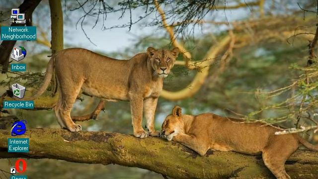 Windows 95 Startup and Shutdown with the Microsoft Bing wallpaper of the day 3rd March 2021 смотреть онлайн