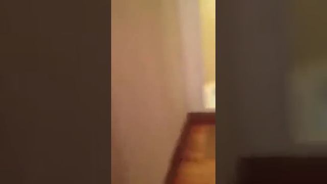 БАНЯ для СВОИХ артистических) смотреть онлайн