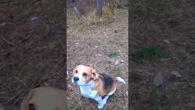 Теперь у неё Новая жизнь смотреть онлайн