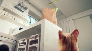 Амням ( 1серия)