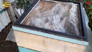 пчеловодство, удобные кормушки своими руками быстро просто удобно пчела не тонет