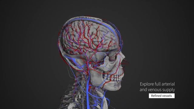 Introducing Complete Anatomy 2021 смотреть онлайн