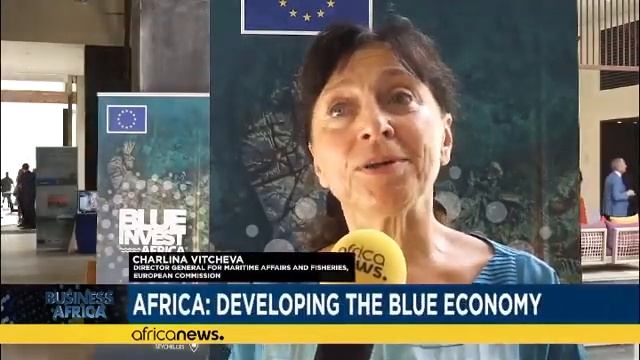 BlueInvest Africa 2022 - Business Africa On Africanews