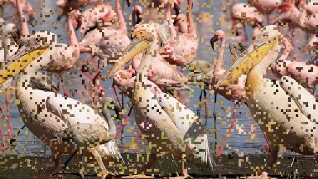 Король Лев смотреть онлайн