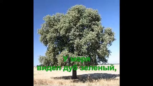 Реклама к выборам