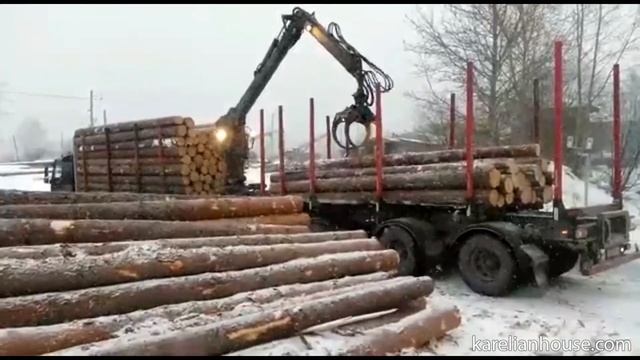 Дома из Карелии. Зимний лес. смотреть онлайн