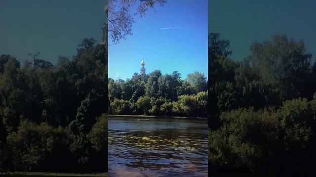 Боль (Алексей Дайнеко, 1984г.) смотреть онлайн