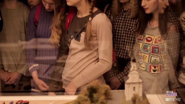 OkiDog - #dogfriendly музей Страна мини смотреть онлайн