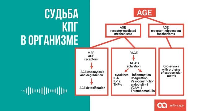 Видеопрезентация Revilab anti A G E смотреть онлайн