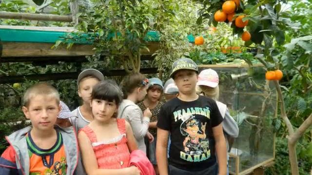 Экологический центр и Лимонарий смотреть онлайн