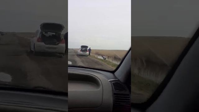 Рыбалка. Ботакара