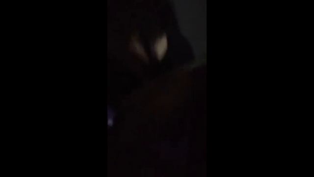 УДАЛЕННЫЕ СНИППЕТЫ ФЕОФИЛОВА смотреть онлайн