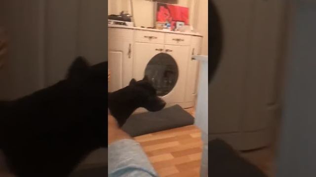 Подставка под ноги) (мажор 3) смотреть онлайн