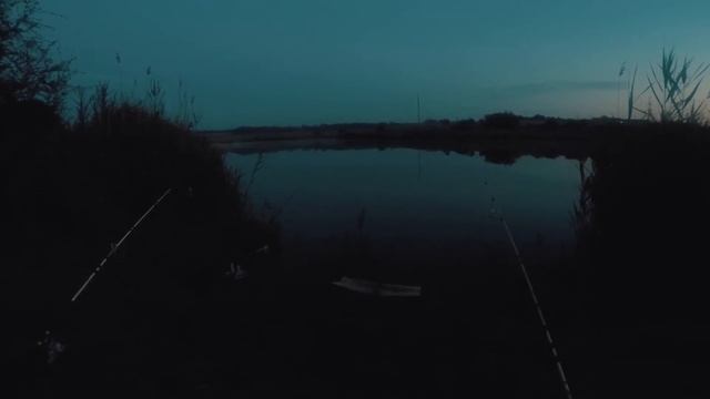 Пение птиц птичек #relax#relaxation#relaxing music смотреть онлайн