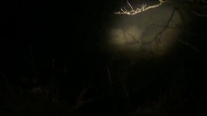 НОЧНАЯ ОХОТА НА ЩУКУ , НА РАГАТКУ , МНОГО РЫБЫ !