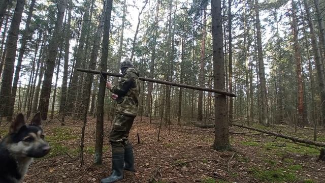 ЛАГЕРЬ В ЛЕСУ| ОДИН В ДИКОМ ЛЕСУ| поход с собакой