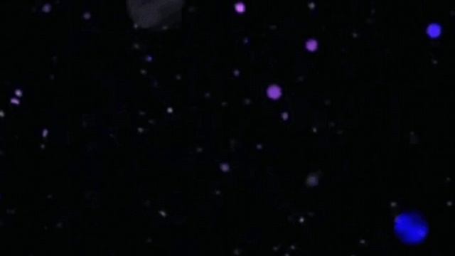 по заказу ﹤максюта 228﹥ смотреть онлайн