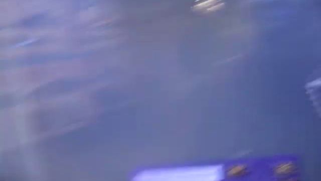 Музей Внуково + ответы на вопросы олимпиады