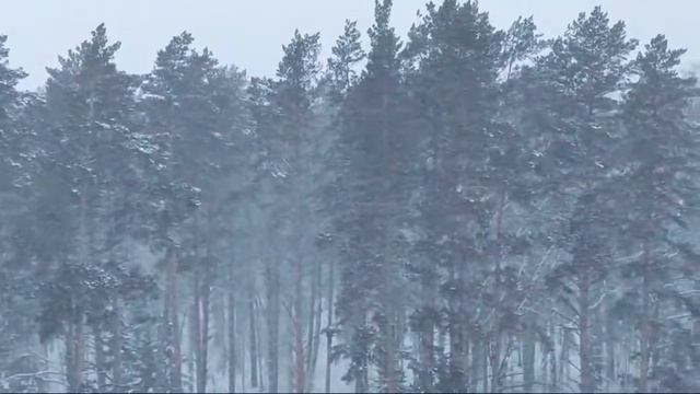 Snow Fall Music 🎶 Virtual opera ❄️🌨️ смотреть онлайн