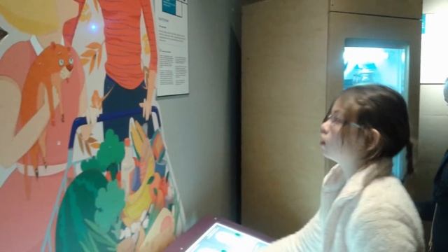 15.11.2015г. Экспериментаниум. смотреть онлайн