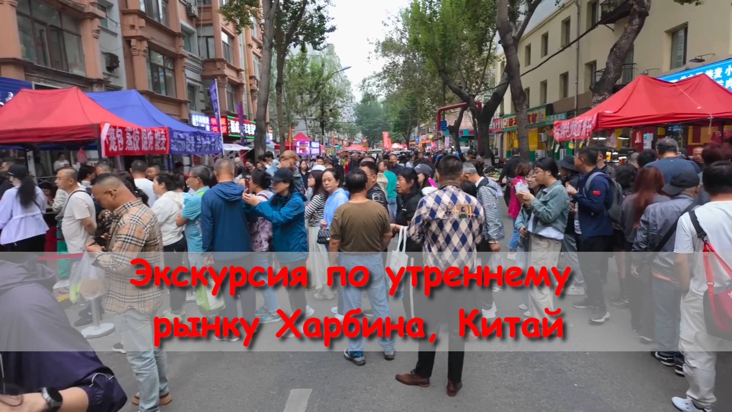 Экскурсия по утреннему рынку Харбина, Китай смотреть онлайн