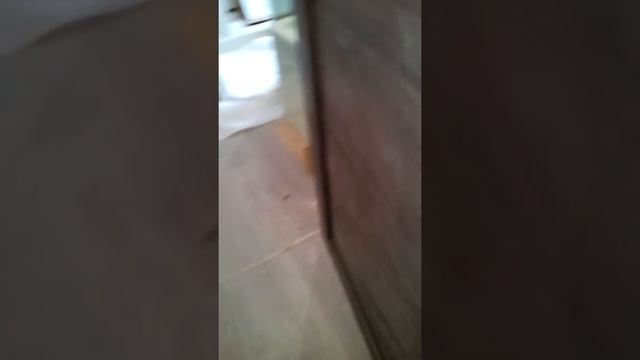 Меж комнатная дверь смотреть онлайн