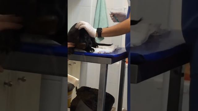 Rejuvenating Reflections