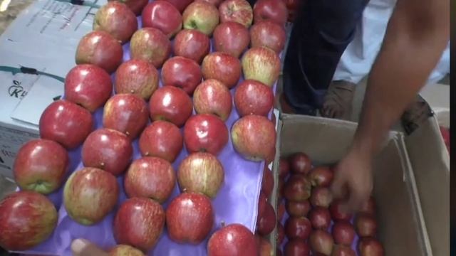 Today's Solan Apple Market | Himalayan Farming смотреть онлайн