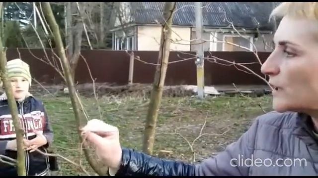 Весенняя экскурсия смотреть онлайн