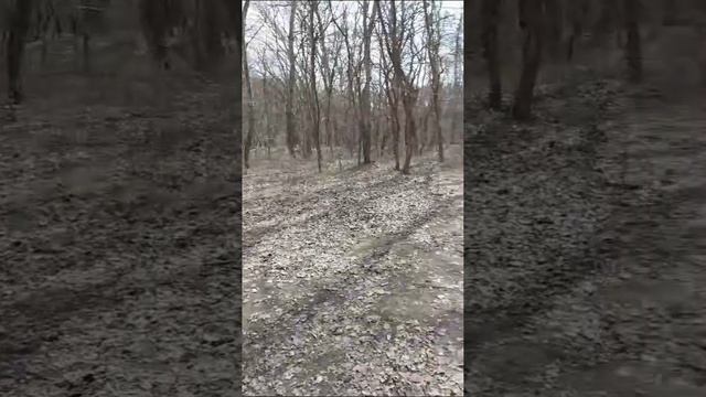 Отдых на природе