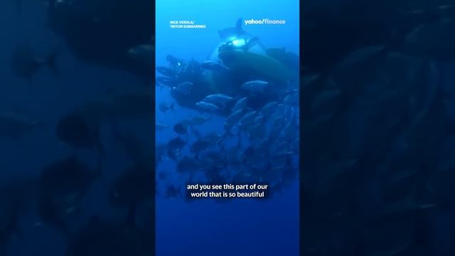 Triton Submarines .. Ocean Exploration 👏🔥