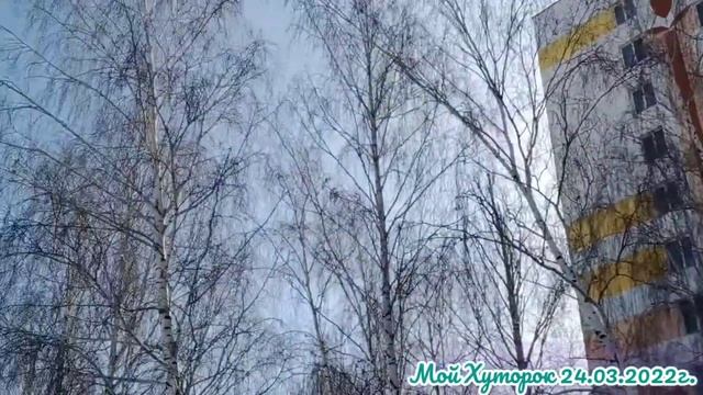 Музейные красоты