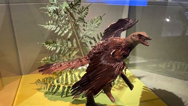 Cosmonova - museum in Stockholm. Космонова- музей в Стокгольме смотреть онлайн