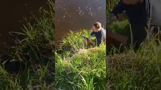 Рыбалка река Медведица