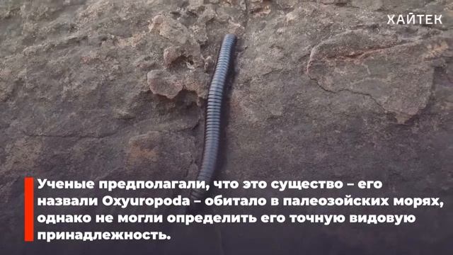Дом за сутки? Реально! смотреть онлайн