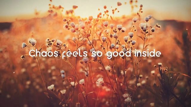 Lost Control - Alan Walker,Sorana(Lyrics Video)🥰 смотреть онлайн