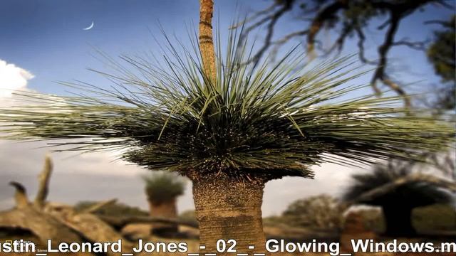 Austin Leonard Jones Glowing Windows смотреть онлайн