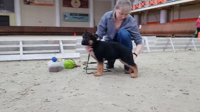 Гламур Брид'с Нирвана 2 месяца смотреть онлайн