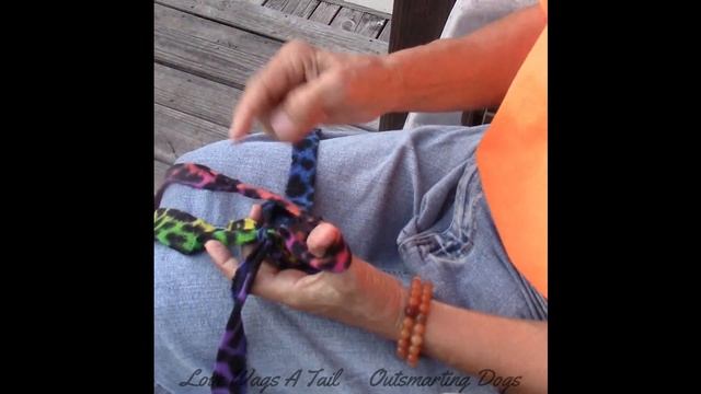 Braiding A Dog Toy Out Of Fleece For Dog Training Retrieve
