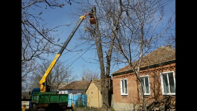 Спил деревьев любой сложности. Адрес: Ставропольский край, Петровский г.о. смотреть онлайн