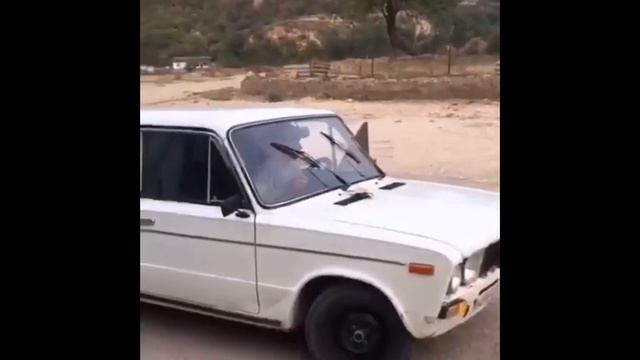 Самая лучшая подборка опер стайл🤤