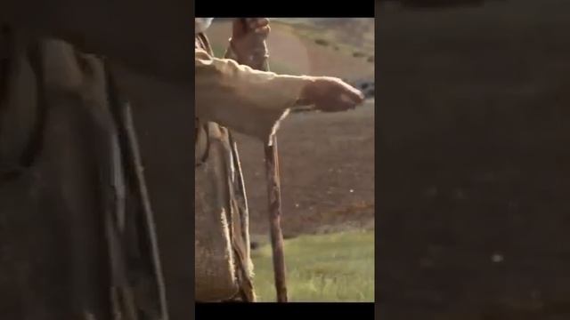 Притча Иисуса Христа: Притча о сеятеле / «Вышел сеятель сеять» / Библия смотреть онлайн